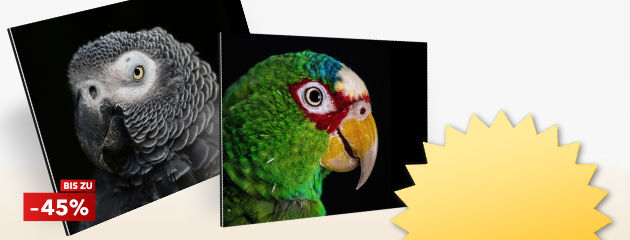 Aktion: Wandbilder auf Alu im Direktdruck