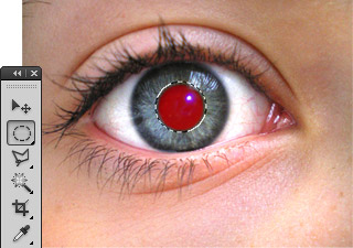 Rote Augen aus Fotos entfernen - Bild 1